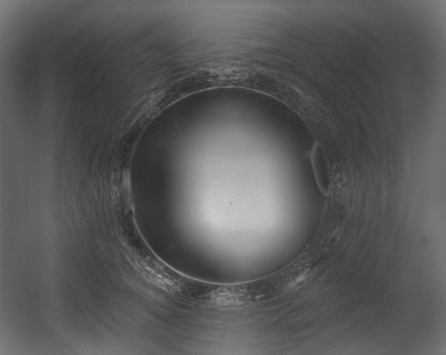 X0000054360756200508011220