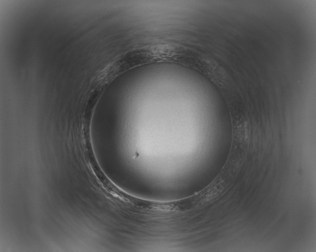 X0000054360757200508011220