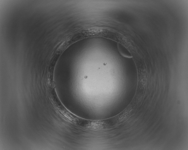 X0000054360758200508011220