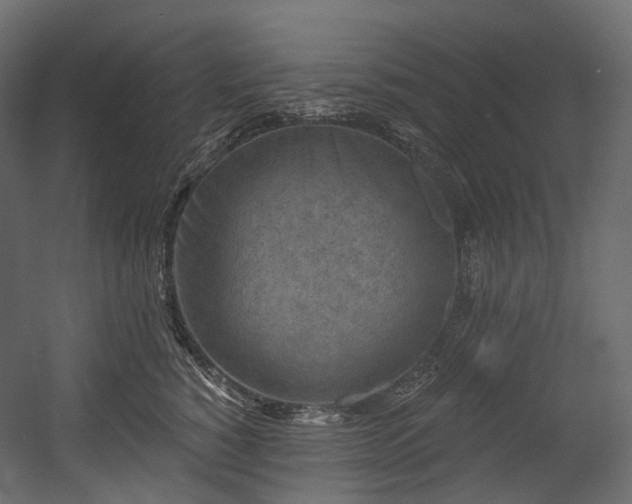 X0000054360760200508011220