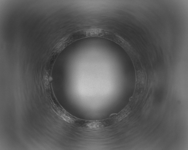 X0000054360761200508011220
