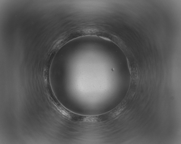 X0000054360762200508011220