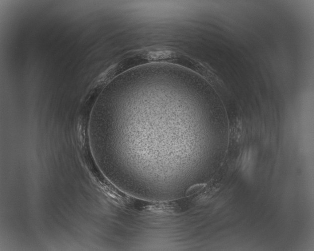 X0000054360763200508011220