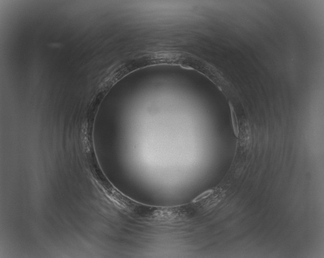 X0000054360764200508011220