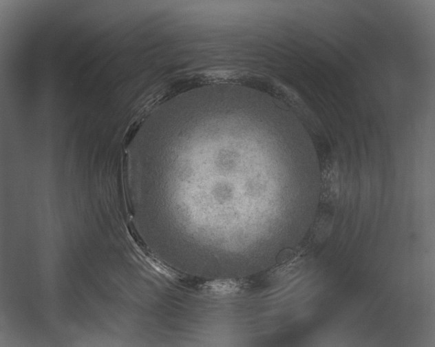 X0000054360765200508011220