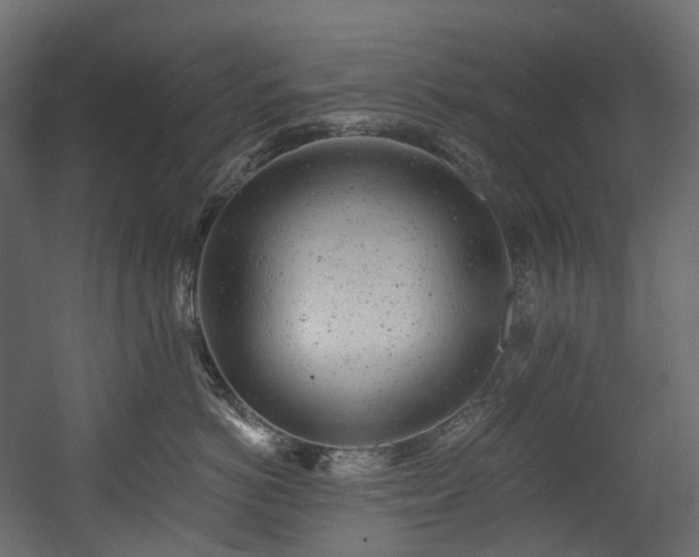 X0000054360766200508011220