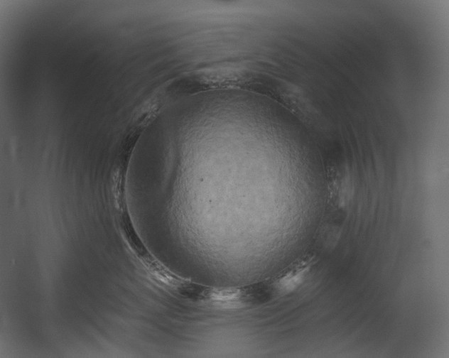 X0000054360767200508011220