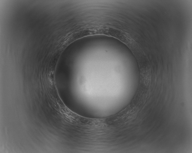 X0000054360770200508011219