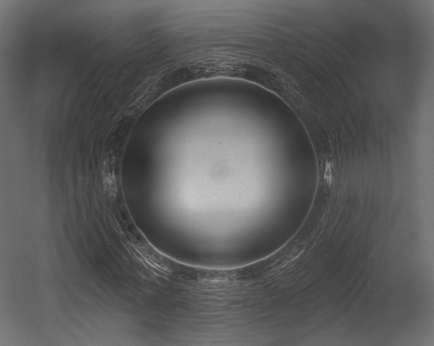 X0000054360771200508011219