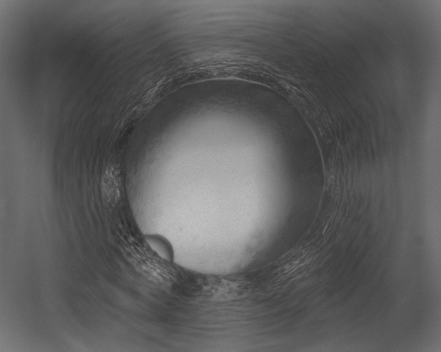 X0000054360772200508011219
