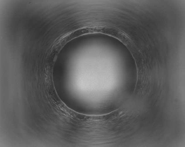 X0000054360773200508011219