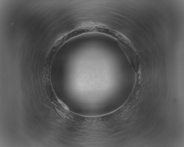 X0000054360775200508011219
