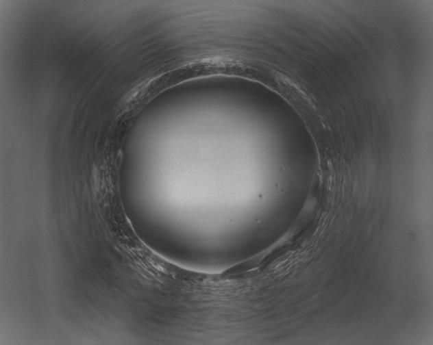 X0000054360776200508011219