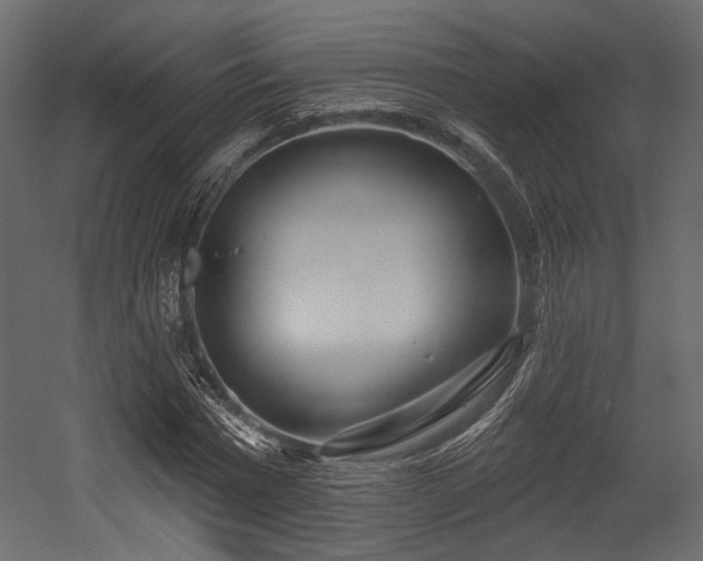 X0000054360777200508011219