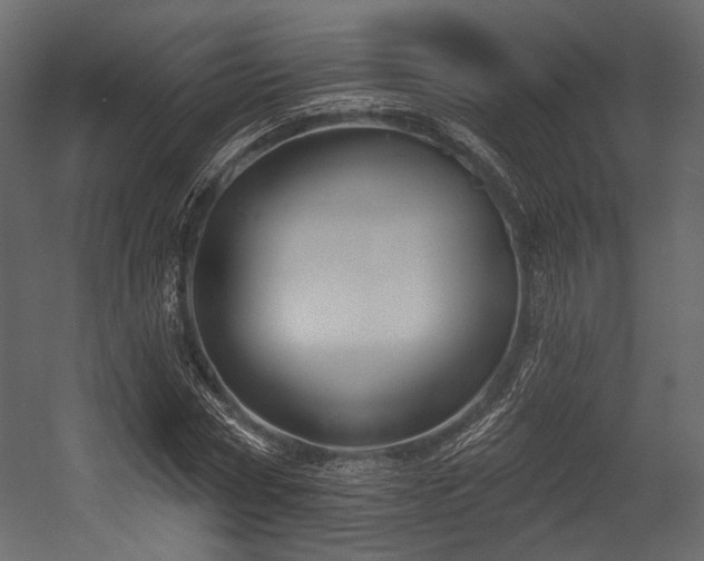 X0000054360778200508011219