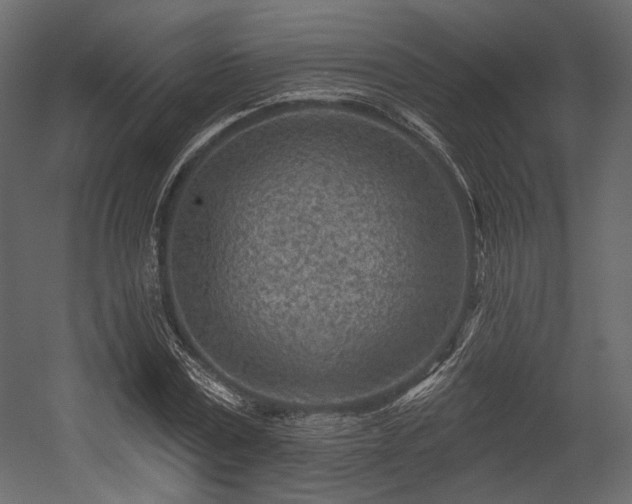 X0000054360779200508011219