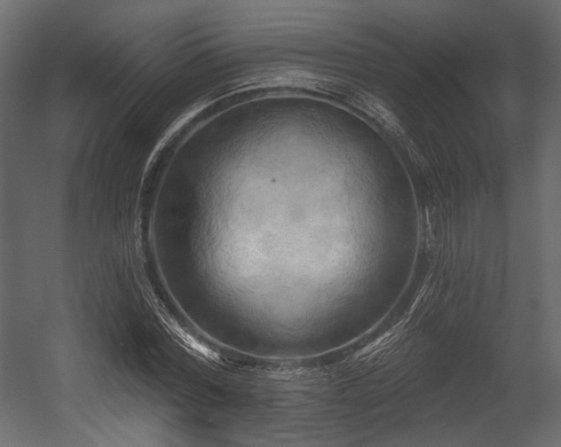 X0000054360780200508011219