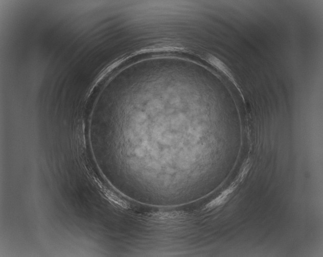 X0000054360781200508011219