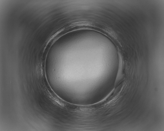 X0000054360782200508011219