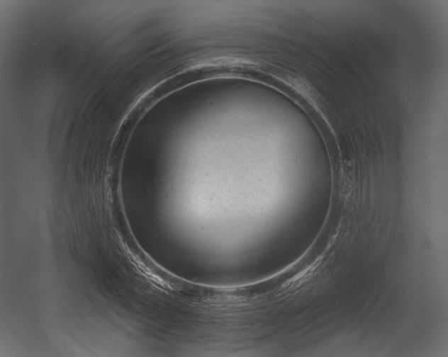 X0000054360783200508011219