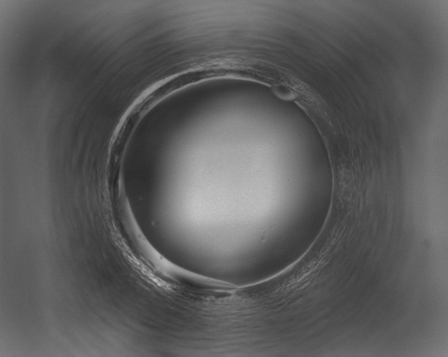 X0000054360784200508011219