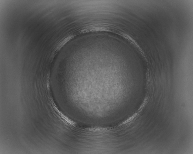 X0000054360785200508011219