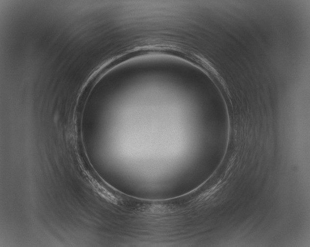 X0000054360787200508011219