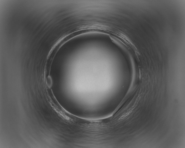 X0000054360788200508011219