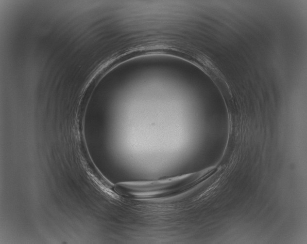 X0000054360789200508011219
