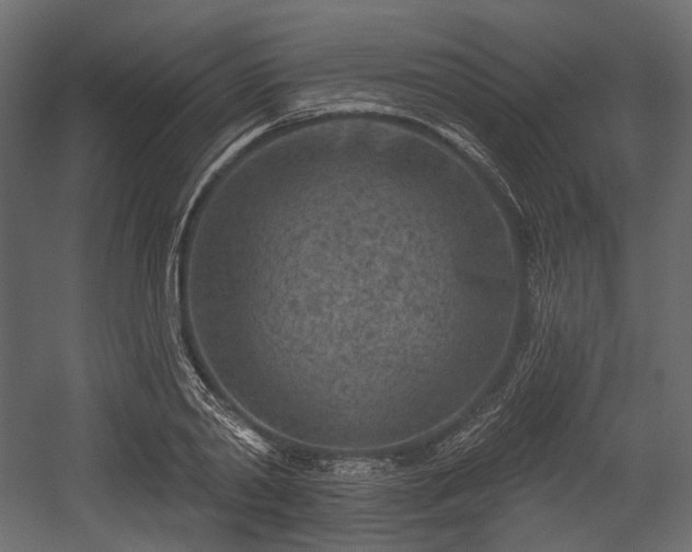 X0000054360790200508011219