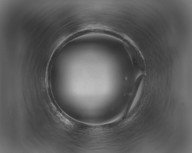 X0000054360791200508011219