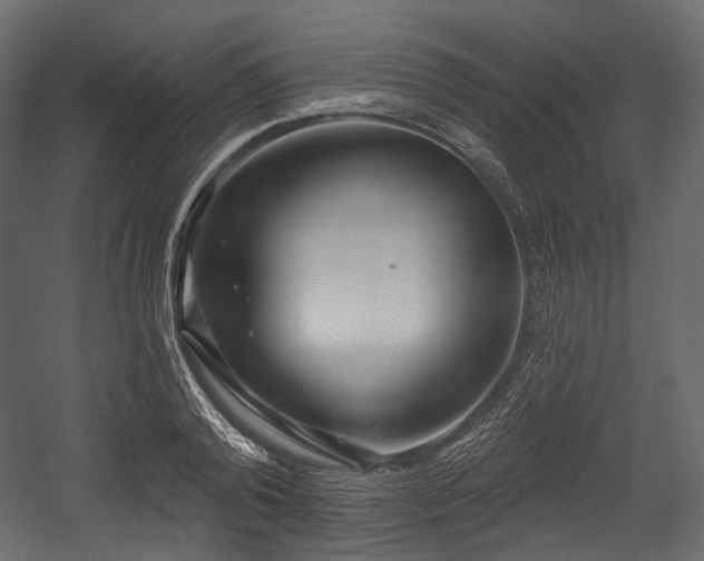 X0000054360792200508011219