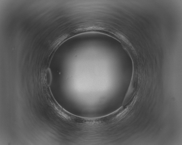 X0000054360793200508011219