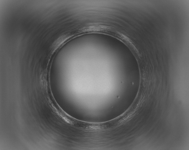 X0000054360794200508011219