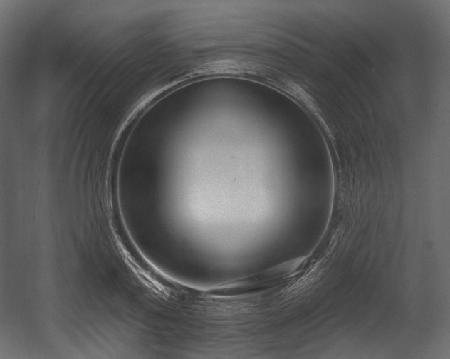 X0000054360795200508011219