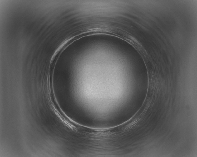 X0000054360796200508011219