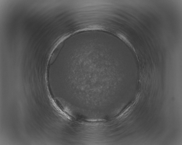 X0000054360797200508011219