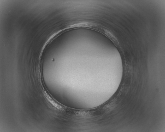 X0000054360800200508011219
