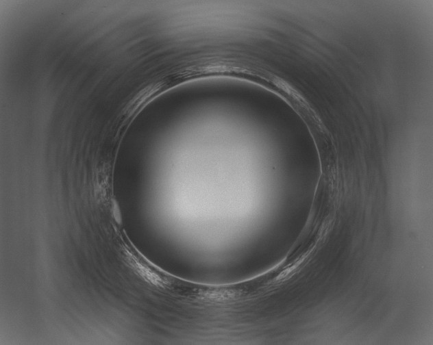 X0000054360801200508011219