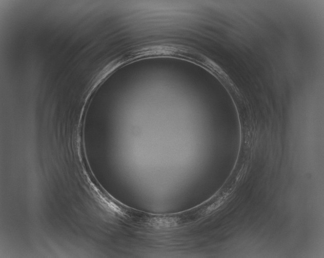 X0000054360802200508011219
