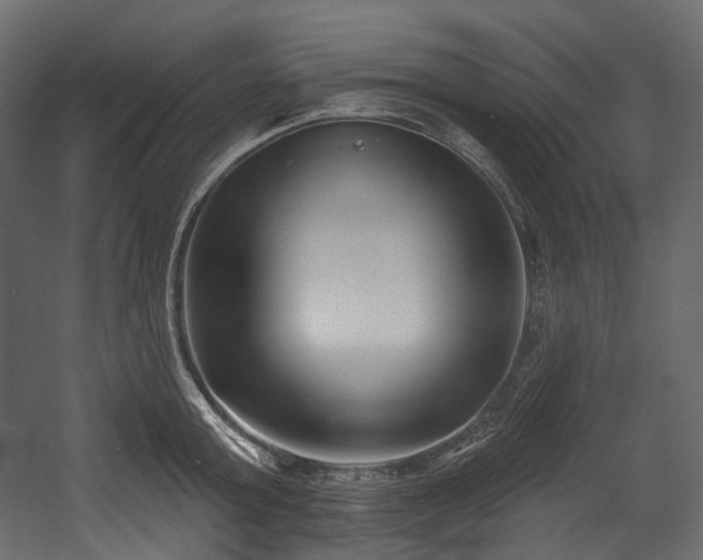X0000054360803200508011219