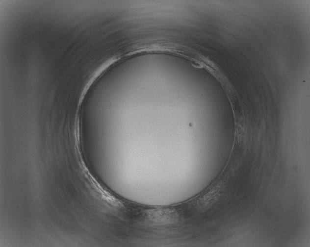 X0000054360804200508011219