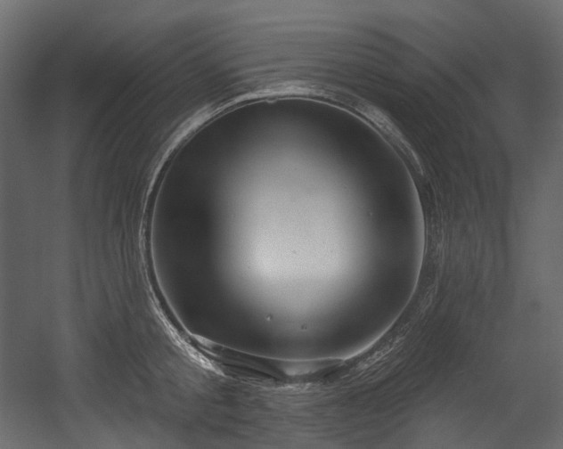X0000054360805200508011219