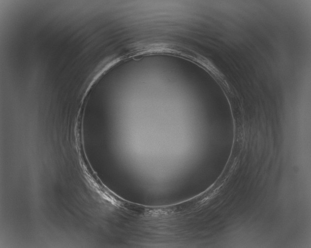 X0000054360806200508011219