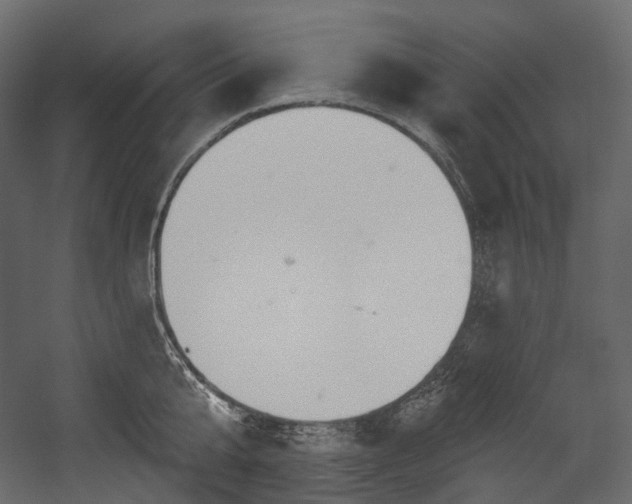 X0000054360807200508011219