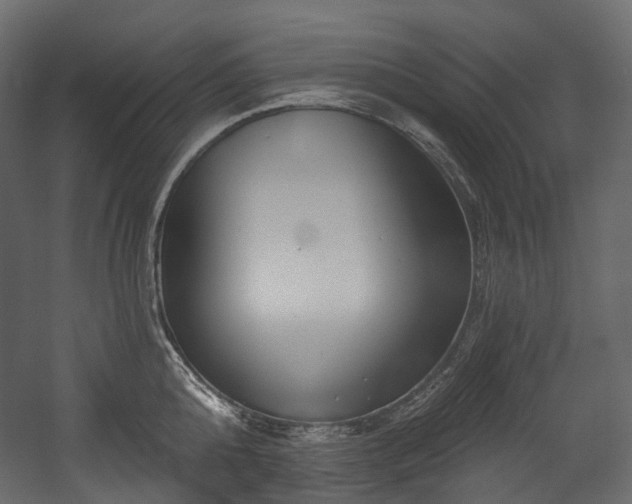 X0000054360808200508011219