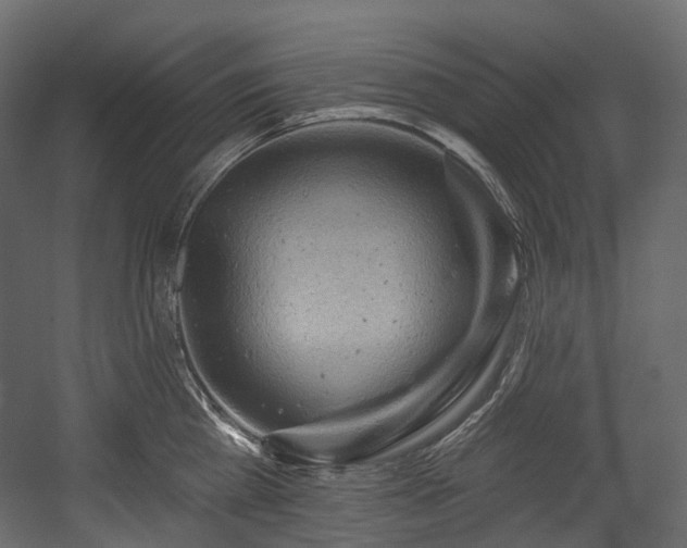 X0000054360809200508011219