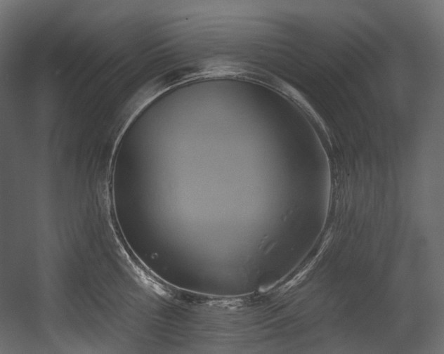 X0000054360810200508011219