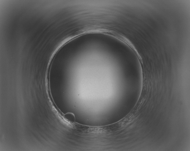 X0000054360811200508011219