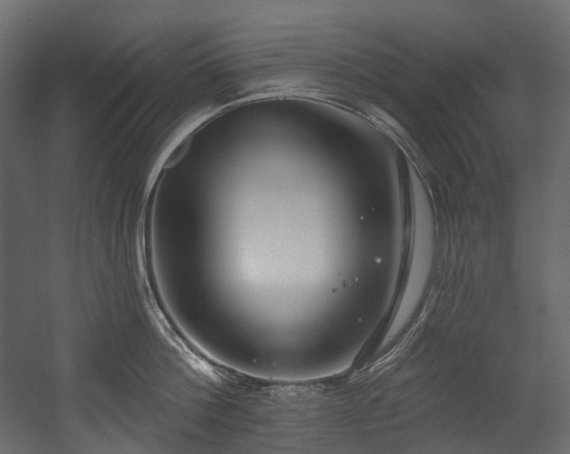 X0000054360812200508011219